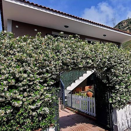 La Casa Di Barry Bed & Breakfast Pozzuoli Dış mekan fotoğraf