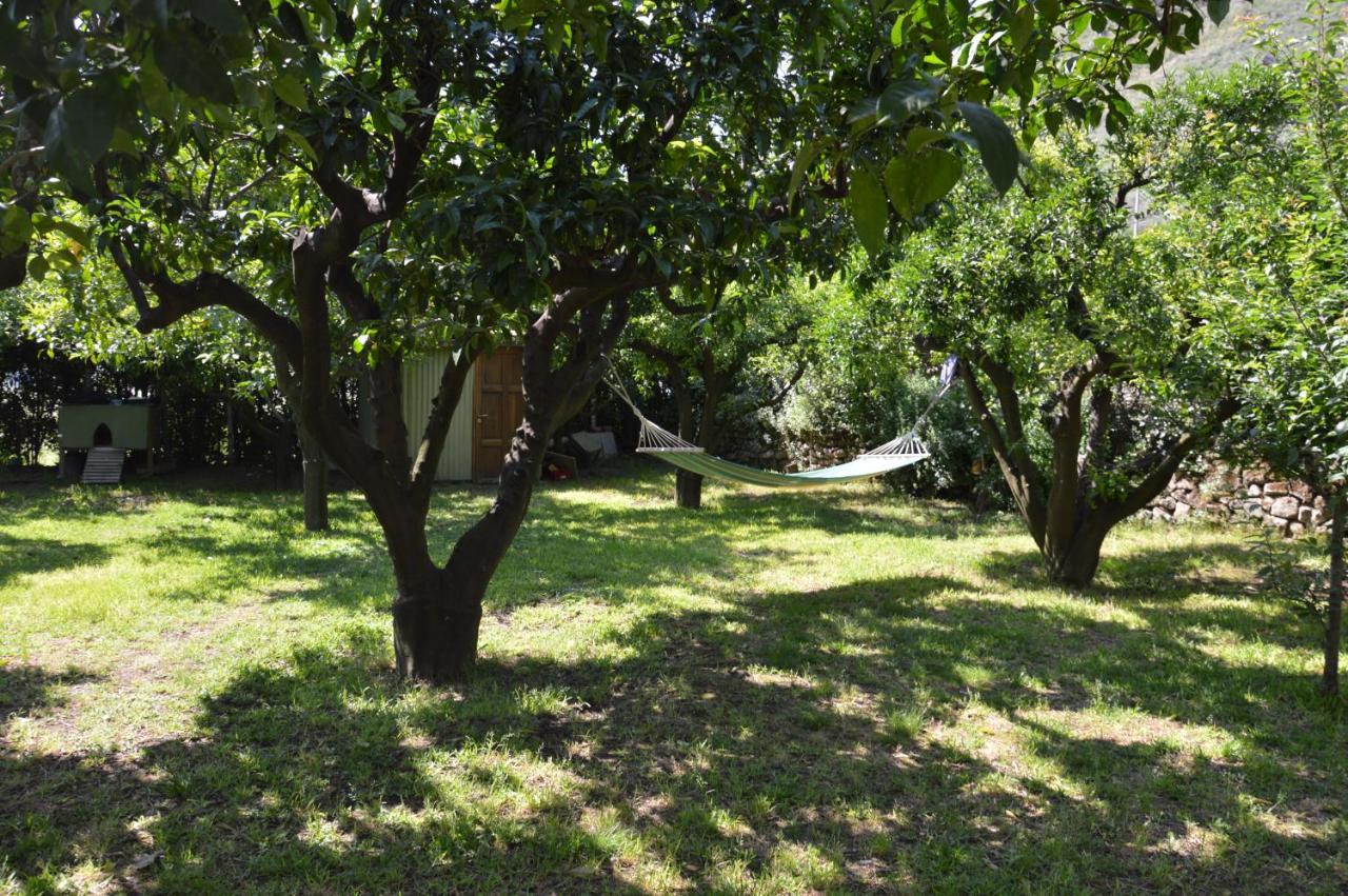 La Casa Di Barry Bed & Breakfast Pozzuoli Dış mekan fotoğraf